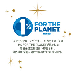 ベリー&ウィンターフラワー ラタンブーケディフューザー
