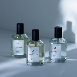 【数量限定】ESTEBAN＆GEODESIS 特別セット