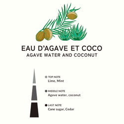 アガべウォーター＆ココナッツ フレグランスリフィル200ml