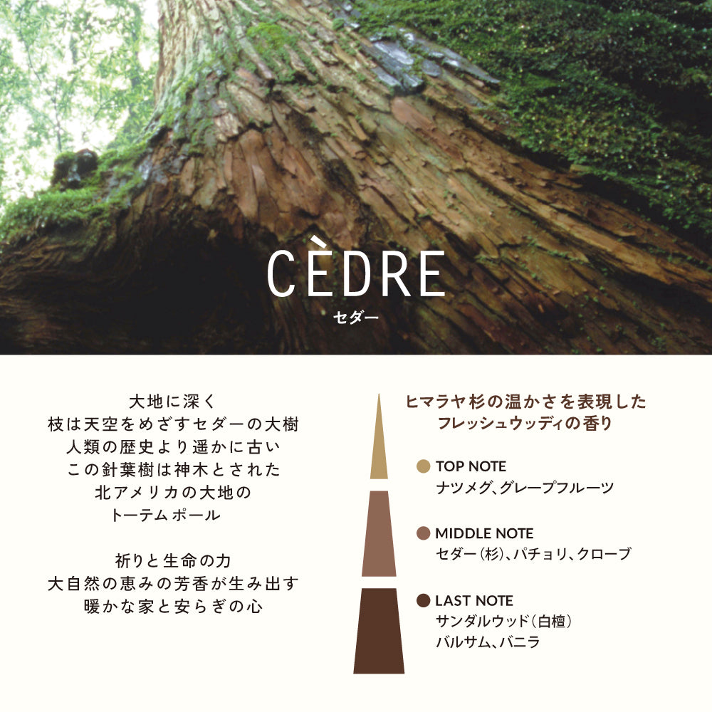 パフュームポーチ セダー