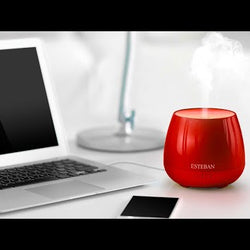 パフュームミストディフューザー  イージーポップ レッド